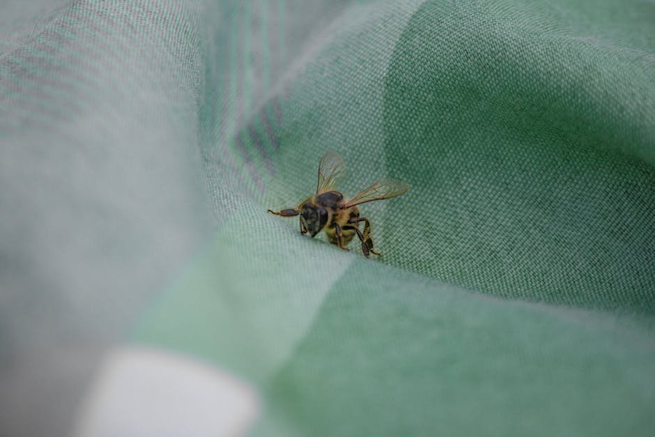 Bees dying off -> Bee death