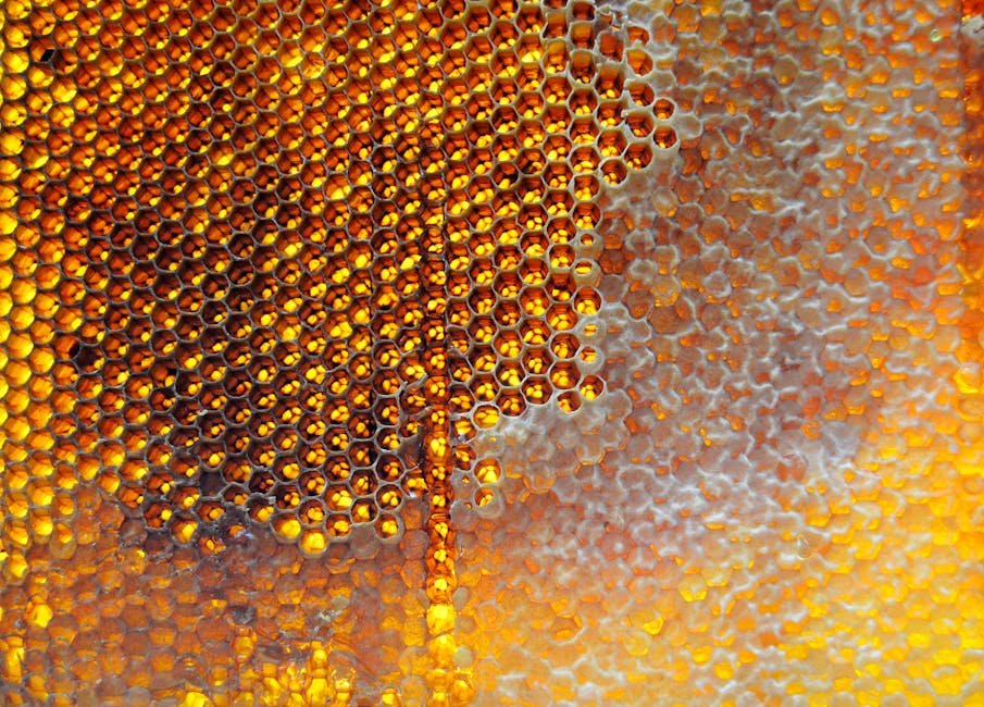 Honey botulism (honey is the main visual subject)